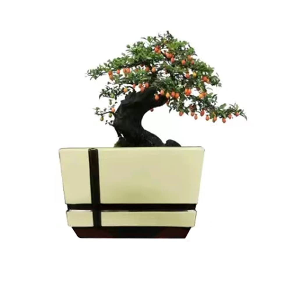 Reazone Molds 2023 New Cement Flower Pot Mold Bottom Grouting Self-Made Plastic Model Square Plain Version Without Pattern
